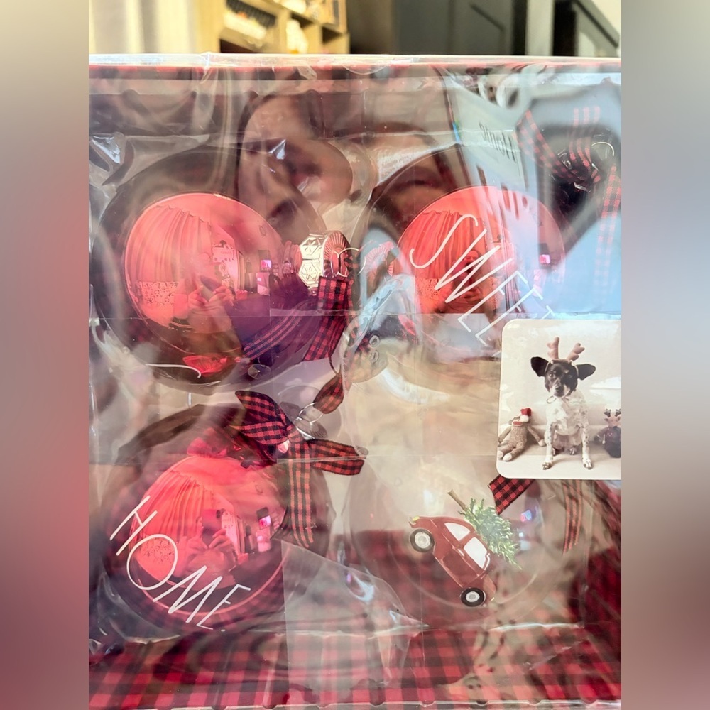 Rae Dunn Gnome Sweet Home Glass Christmas Ornaments Set